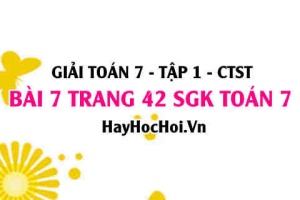 Giải bài 7 trang 42 Toán 7 Tập 1 SGK Chân trời sáng tạo